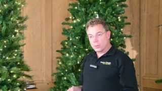 The EASIEST Christmas Tree You Will Ever Assemble [upl. by Travax]