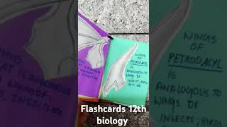 12th biology flashcards on homologous and analogous organs biology creative art [upl. by Nich]