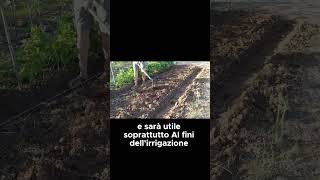 Come fare il livellamento della BAULATURA   GUARDA IL VIDEO COMPLETO shorts [upl. by Ahsikal522]