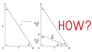 Teens discover new proof of Pythagoras Theorem using trigonometry [upl. by Kym]