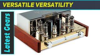 Unveiling the Yaqin MC84L Stereo Vacuum Tube Amplifier [upl. by Mehta]