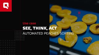 AIdriven food automation  automated sorting of peaches [upl. by Ahsina]