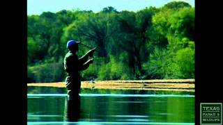 Running of the Bass White Bass Fishing in Texas [upl. by Erdnoed277]