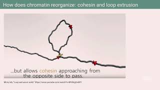 Complexity of transcriptional regulation by Rahul Siddharthan [upl. by Renaud224]