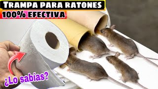 Como Eliminar RATAS y RATONES de Manera Eficaz [upl. by Nylassej877]