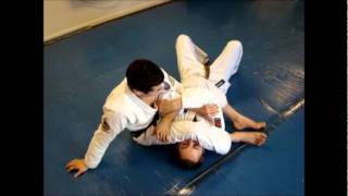 CAIO TERRA BJJ TECHNIQUEArmlock Defense Breaker [upl. by Danell]