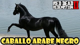 Como conseguir el caballo ÁRABE NEGRO en Red Dead Redemption 2✔️ [upl. by Alyakim60]