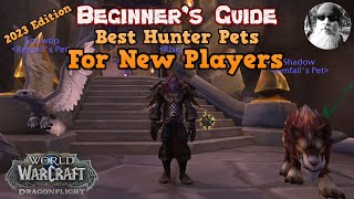 The Ultimate Beginners Guide to the Best Hunter Pets for New Players in World of Warcraft in 2023 [upl. by Jerold]