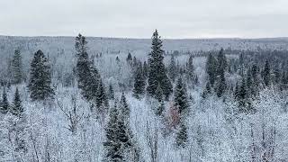 Hoar Frost on the Sawbill Trail [upl. by Edbert696]