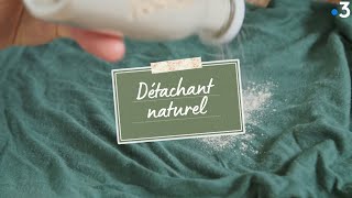 Atelier Zéro Déchet  Comment faire un détachant naturel [upl. by Anerac]