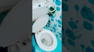 How to installation toilet seat toilet seat fitting shortfeed youtube [upl. by Coleman]