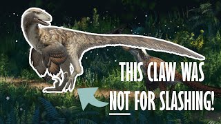 Everything you need to know about Raptors [upl. by Len274]