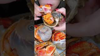 Mukbang makan Kelobang siputmemang bisa di makan🥺🥺 udang kepiting [upl. by Edwards]