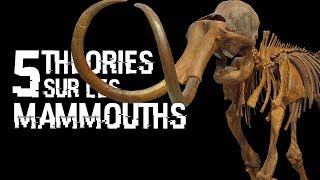 5 THEORIES SUR LES MAMMOUTHS 35 [upl. by Einittirb]