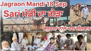 jagraon horse Mandi da full round 18 Sep 2024। Gagan Sandhu vlogs [upl. by Vogeley]