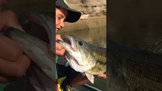 Lake Nacimiento Bass Fishing [upl. by Alyahs]