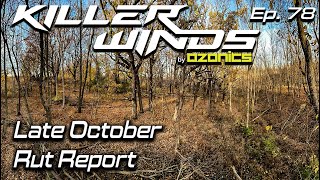 Late October Rut Report  Killerwinds Podcast [upl. by Victoir]