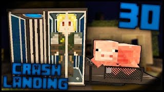 MISSÃO SUICIDA ANIMAIS MORTE  Crash Landing 30  Minecraft [upl. by Lias]