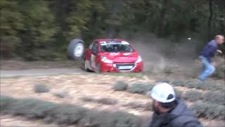 RALLYE TERRE DU VAUCLUSE 2024 BIG SHOW amp CRASH by 4R1V [upl. by Kohcztiy593]