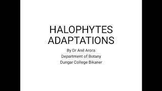 HALOPHYTES ADAPTATIONS [upl. by Melentha]