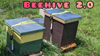 Modified Beehive for Treatmentfree Beekeeping [upl. by Relluf]