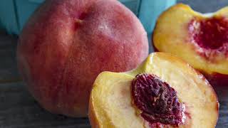 How To Grow Peaches From Seed Start to Finish [upl. by Mia]