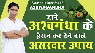 जाने अश्वगंधा Ashwagandha के हैरान कर देने वाले असरदार उपाय  Acharya Balkrishna [upl. by Channing]