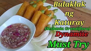 Bulaklak ng Katuray Dynamite RecipeSesbania Grandiflora Dynamite Recipe [upl. by Asiaj]