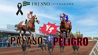 Carrera del año Payaso vs peligro  muere el payaso su última carrera 🔥 sc 300 Yds peligro gana 🏆 [upl. by Ailefo]