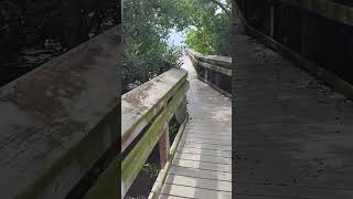 Hurricane Helene Cherokee Park Englewood Florida [upl. by Siderf295]