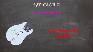 SVT FACILE  1ère spé  Limmunité innée [upl. by Nicolai]