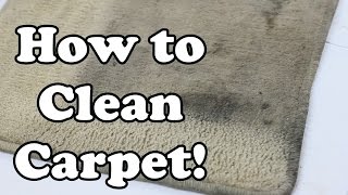 How To Clean Carpet Chemical Guys Products Nonsense [upl. by Durand]