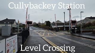 Cullybackey Station Level Crossing Ballymena Thursday March 21032023 [upl. by Bertsche]