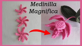 Part1 Crochet Medinilla Magnifica Pollen [upl. by Eedya]