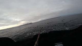 2018 12 02 Newfoundland Eider Hunt Part 1 [upl. by Wera]