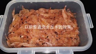 簡易南極蝦釣餌DIY [upl. by Liebman610]