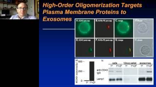 Stephen Gould  Exosome Biogenesis and the Budding of Proteins and Viruses [upl. by Scarlet402]