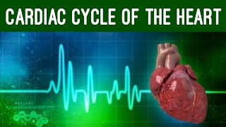 Cardiac Cycle and Conduction System of Heart Physiology Animation [upl. by Latoyia]