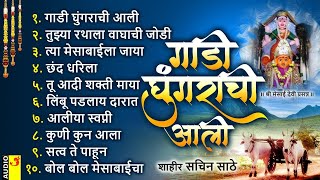 Gaadi Ghungrachi Aali  गाडी घुंगराची आली  Sahir Sachin Sathe  Mesai Devi [upl. by Eivets]