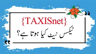 What is TAXISnet in urdu  Τι ειναι taxisnet  ٹیکسس نیٹ کیا ہوتا ہے [upl. by Nevek]