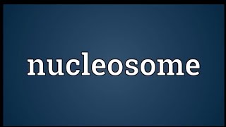 NUCLEOSOMESstructure of nucleosomesfunction of nucleosome [upl. by Ahsatsan]