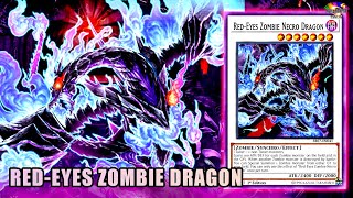 【YGOPRO】RedEyes Zombie Necro Dragon Deck 2020 Yugioh [upl. by Arrad613]