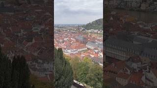 Heidelberg 독일 여행지 추천 독일 독일여행 germany europe germanytrip 유럽여행 heidelberg [upl. by Deegan]