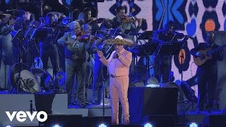 A pesar de todo Vicente Fernandez letrawmv [upl. by Smaj1]