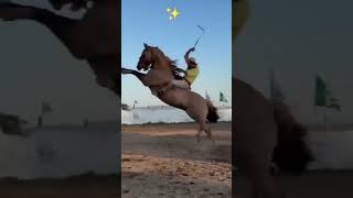 Monta de caballo diwali automobile humor music memes joropoesloqucola funny lahoradelbochae [upl. by Eceeryt231]