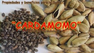 EL CARDAMOMO  PROPIEDADES Y BENEFICIOS PARA LA SALUD [upl. by Eiramnaej122]