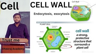 endocytosis  exocytosis cell wall plasmolysis DheerajAcademy [upl. by Elish234]