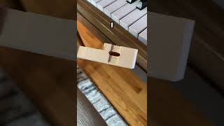 Mice damage in piano piano pianotuning music satisfying woodworking [upl. by Bank174]