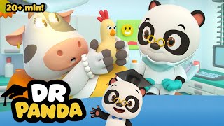 Dr Panda 🐼 Dr Panda is a Doctor Dentist amp Meteorologist 🩺 Full Episodes  Kids Learning Video [upl. by Eimot]