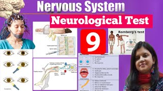 Neurological Test  Pupil Reflex Glasgow Coma Scale Romberg Caloric Lumbre Puncture amp EEG Test [upl. by Dream]